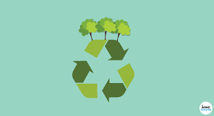 How to be More Eco-Friendly